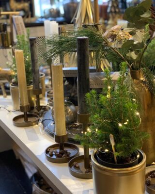 Kijk zo leuk onze kerstwinkel 🎄. Kerststukken, kerstboeketten, kerst deur toef, kerstkadootjes🎄🎄🎄#kerstballen #kerstdecoratie #kerstinspiratie #kerstkrans #kerstcadeau #kerstbloemen #kerstboeket #kerststuk #wijbezorgen #fleurop #renate #bloembindkunst #bleiswijk